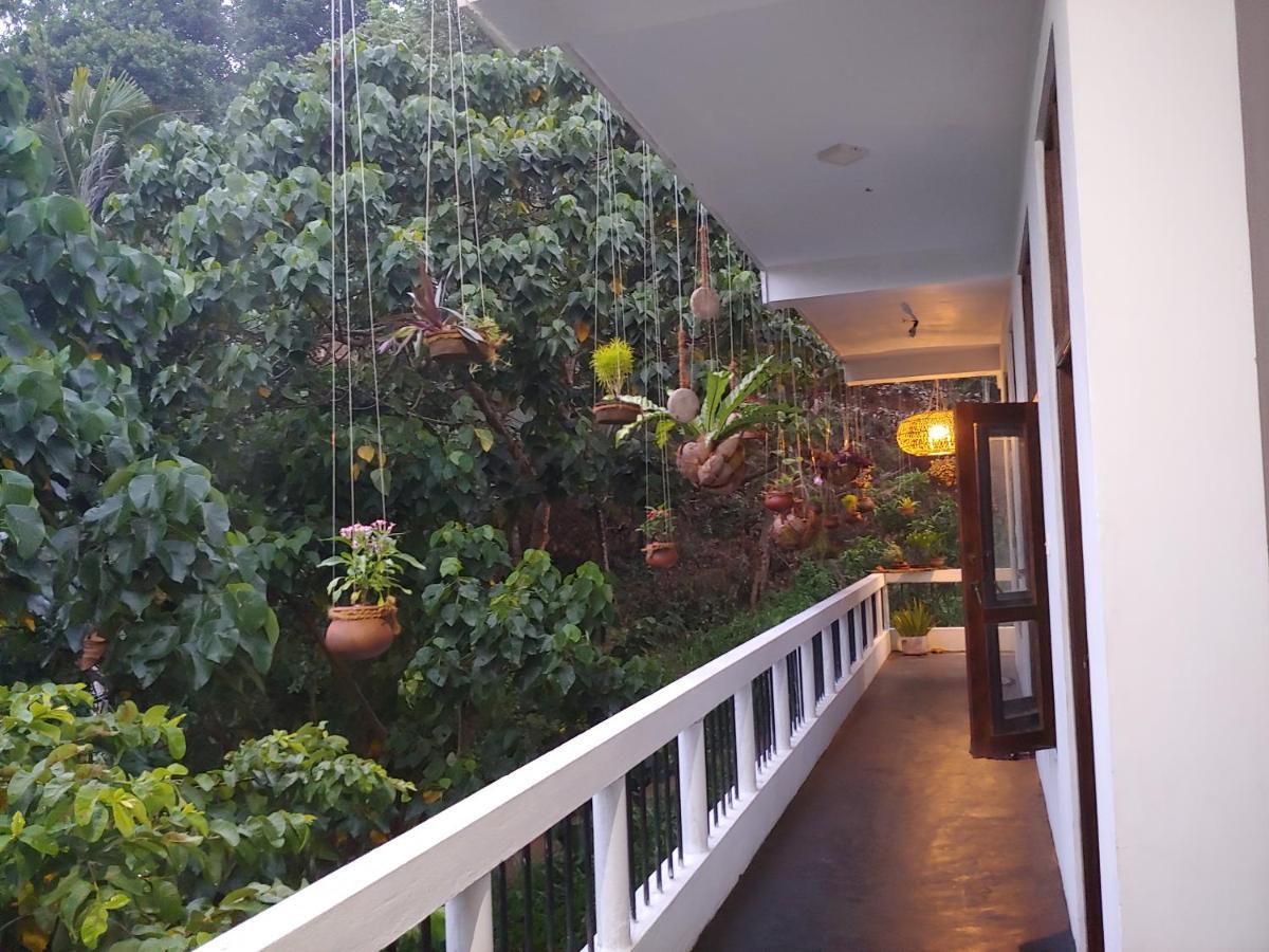 Daasa Guest Mirissa Hotel Eksteriør billede